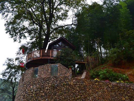 桐庐爪哇树屋王国树屋民宿图片