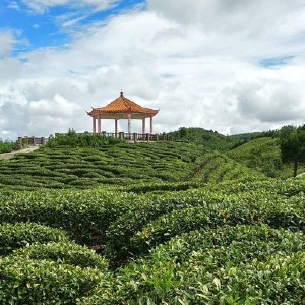 百花湖森林公园图片