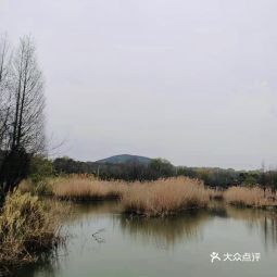 淮南舜耕山陵园公墓图片