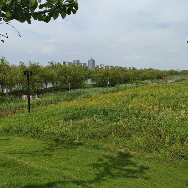 三角洲生态公园