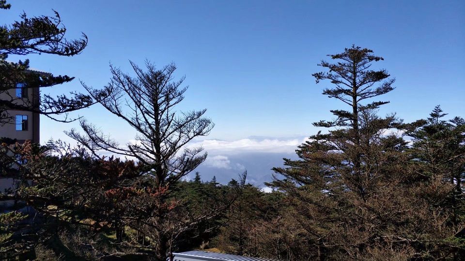 太子坪地址(位置,怎么去,怎么走,在哪,在哪里,在哪儿:乐山市峨眉山市