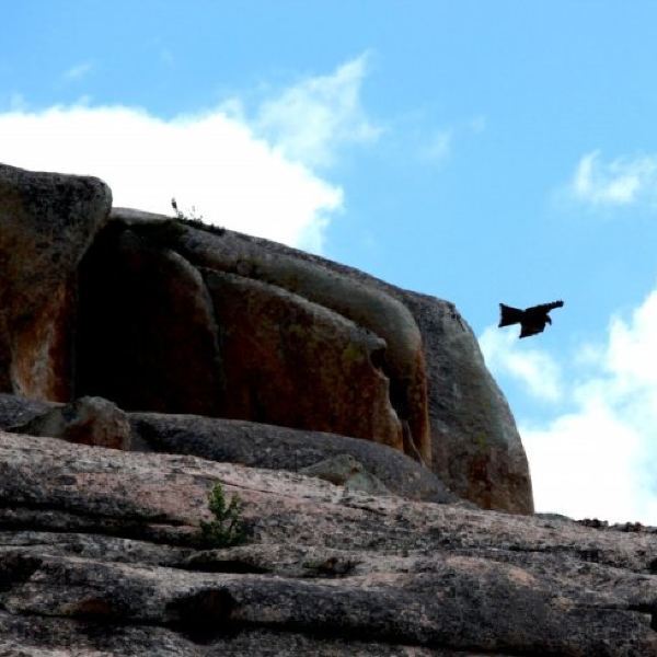 阿勒泰五指泉景区