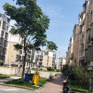 古荡佳苑图片