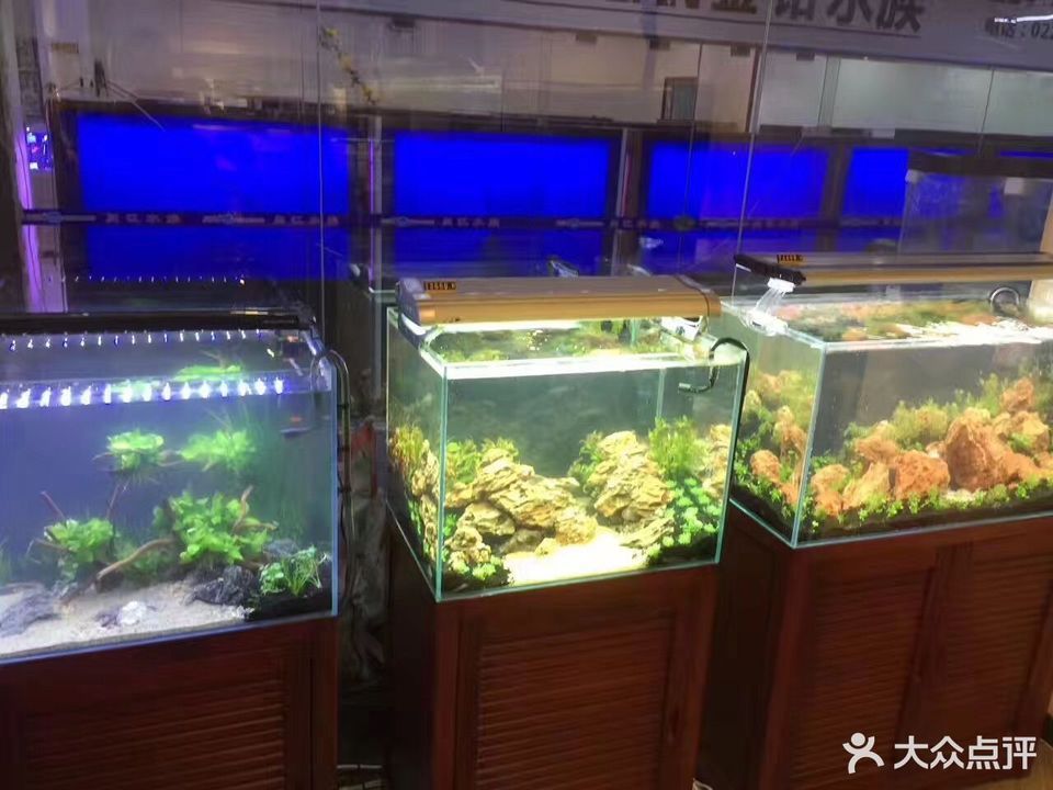 怎麼走,在哪,在哪裡,在哪兒):天津市北辰區普濟河道中環花鳥魚蟲市場a