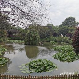 用户**:荻港渔庄是个集休闲娱乐,餐饮,住宿一体的大型农家乐!