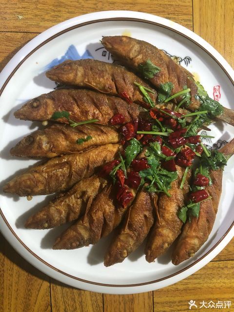 双煎江虫虫鱼图片