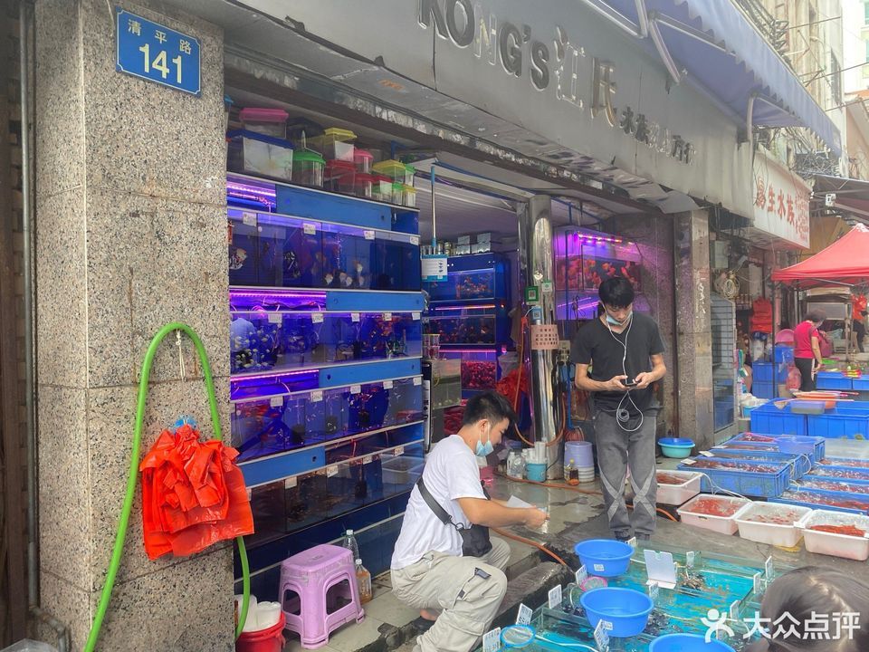 清平路水族市场图片