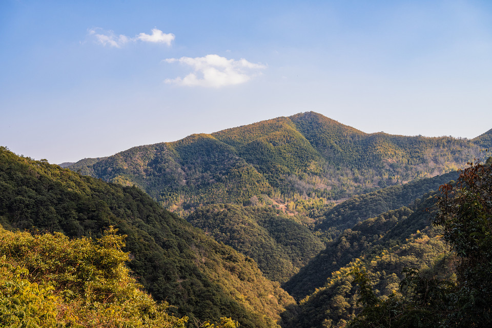 羊角山森林公园图片