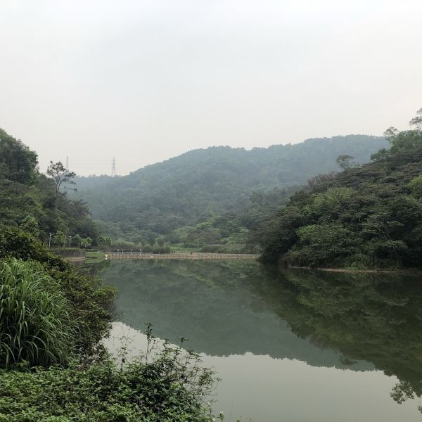 大西坑公园图片