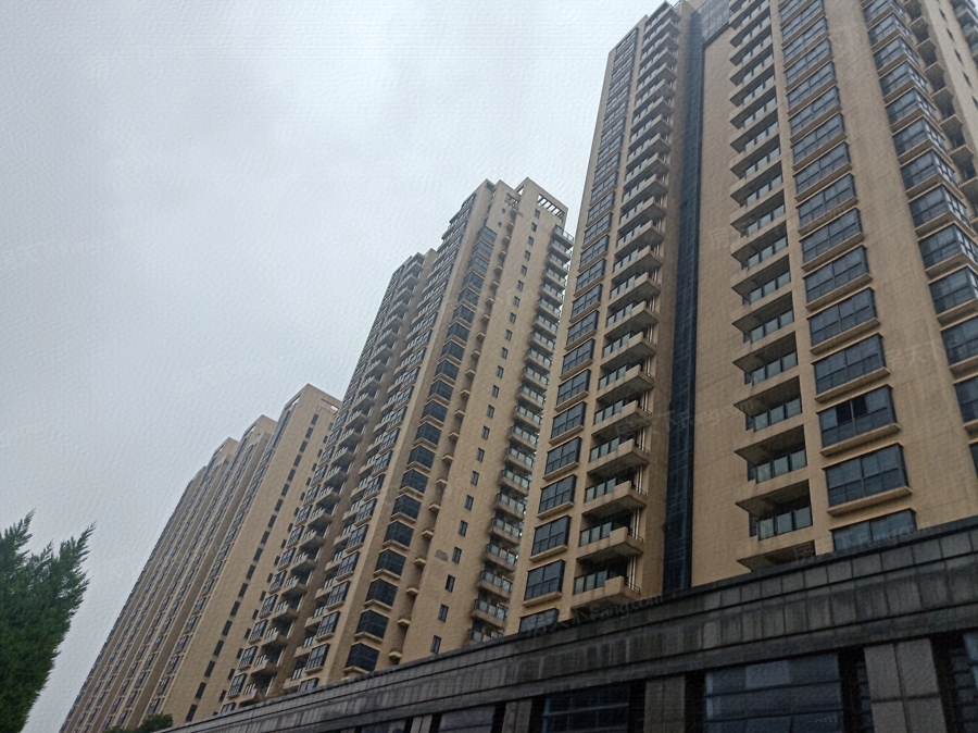 钱塘滨和花园图片