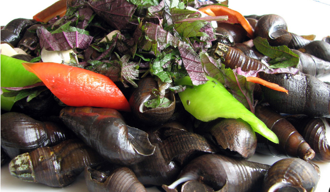 紫苏炒山坑螺图片