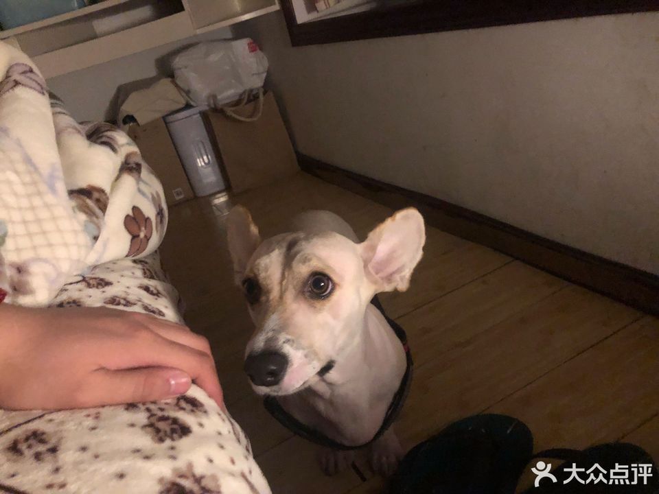 【完美世界宠物乐园】地址,电话,路线,周边设施_360地图