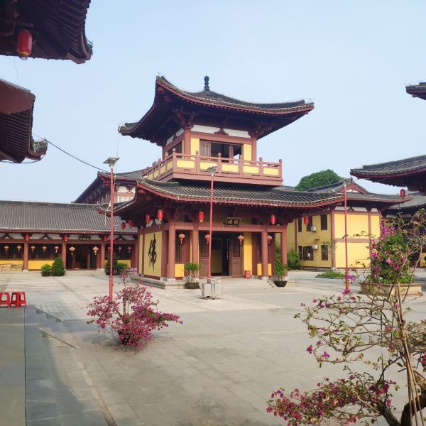 郑州开元寺建设进度图片