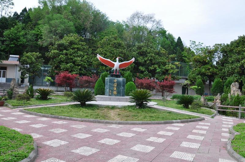 t01a77643d0f0954e90.jpg