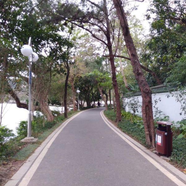 携程用户:芳华洲是惠州西湖中的一个小岛,北接元妙古观,南接点翠洲,是