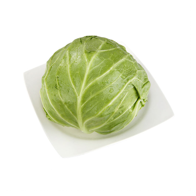 崇明青甘蓝图片