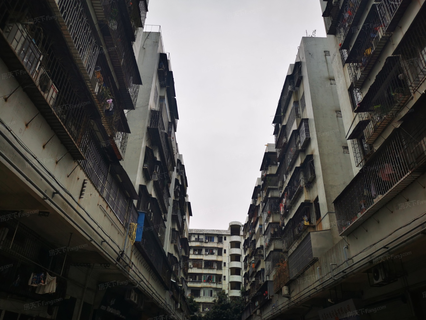 地址(在哪里):江南新村位于广州市番禺区东环路242号介绍:标签:住宅