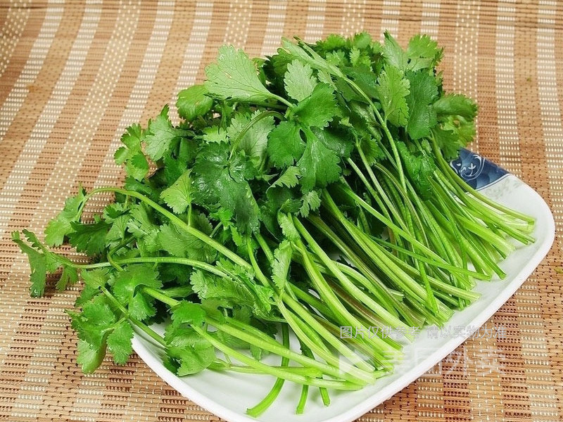 陈老伍骨汤麻辣烫沙溪店