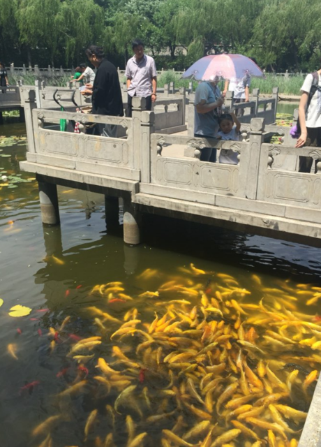 神堂沟度假村图片