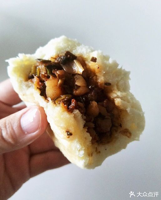 芽菜包推荐菜:介绍:地址(在哪里):九龙王大包位于武汉市江岸区光华路8