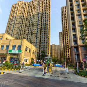 地址(在哪里):金秋家园位于苏州市姑苏区葑门街道苏苑东街长桥新村北