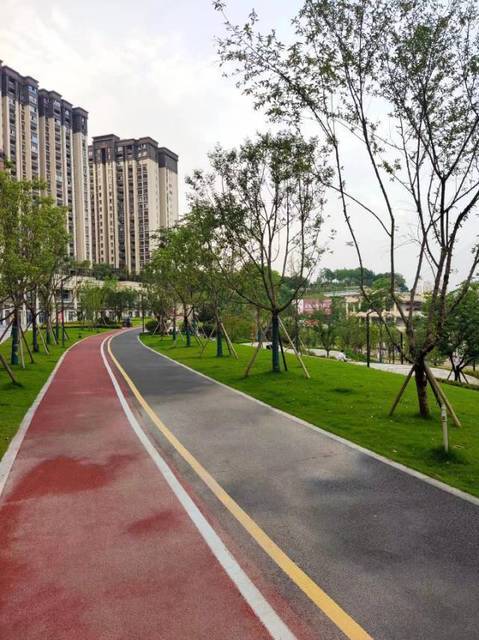 大渡口区义渡公园图片