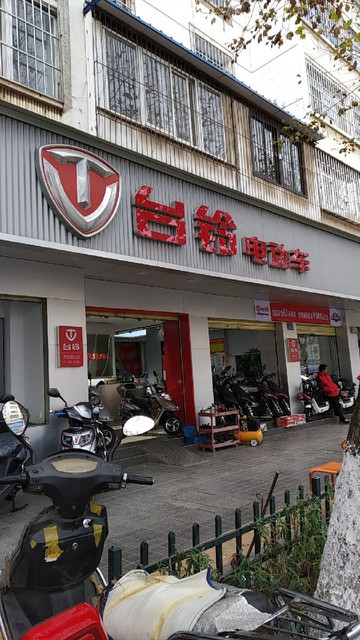 台铃电动车图片