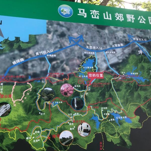 马峦山郊野公园图片