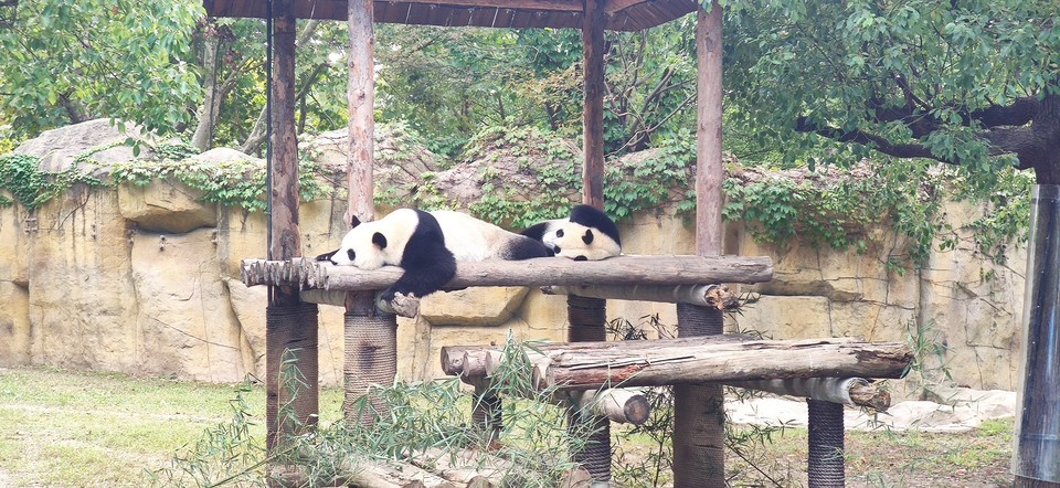 罗庄动物园图片