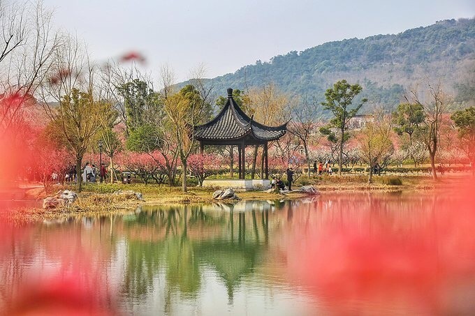 電話:地址(位置,怎麼去,怎麼走,在哪,在哪裡,在哪兒):蘇州市張家港市