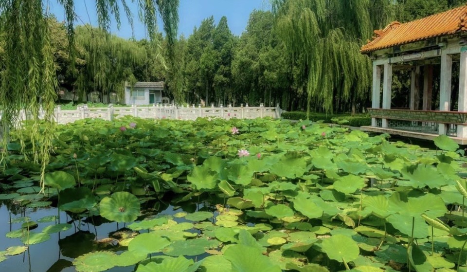 小河庄生态观光园