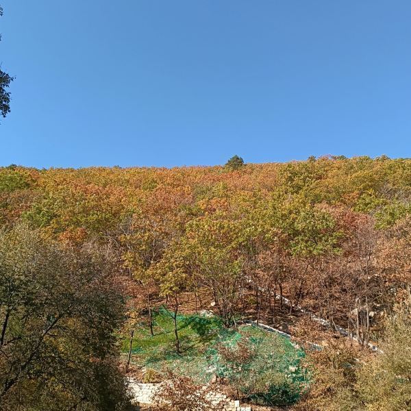 城子山风景区