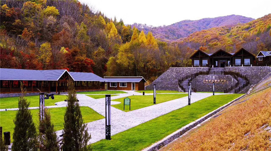 柳河县云岭野山参风景旅游区图片