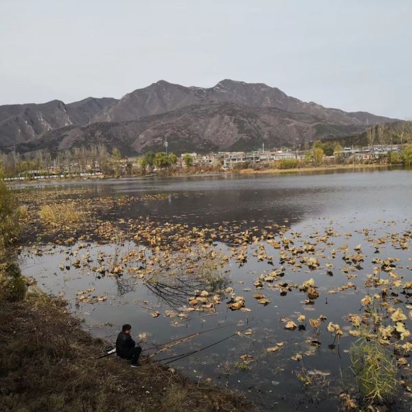 红螺湖鸟岛图片