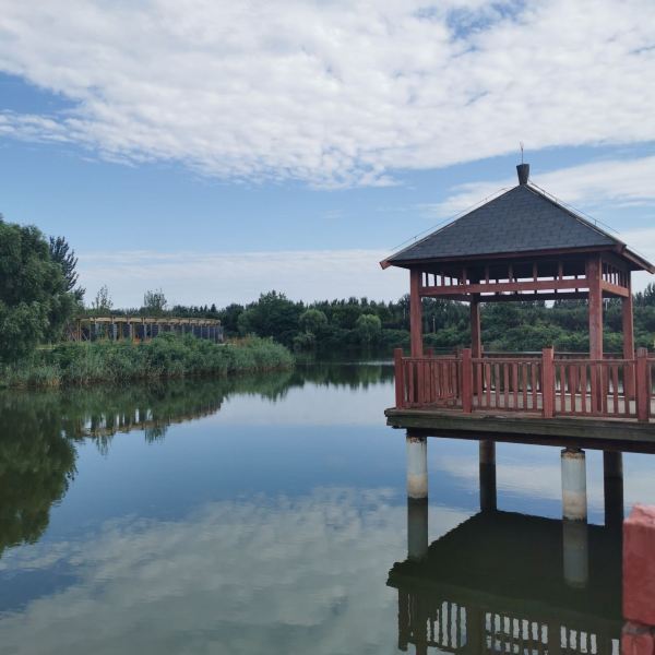电话:推荐菜:介绍:地址(在哪里):古滦河生态公园位于唐山市乐亭县毛庄