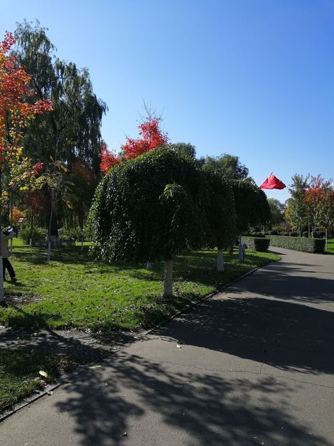 西林公園圖片