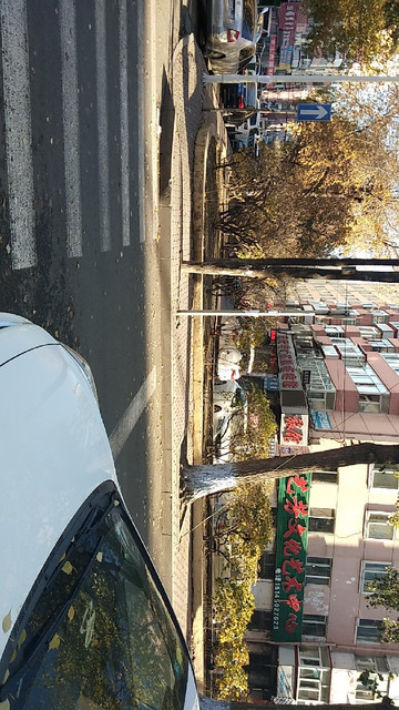 怎么去,怎么走,在哪,在哪里,在哪儿):哈尔滨市南岗区通达街道元士街16