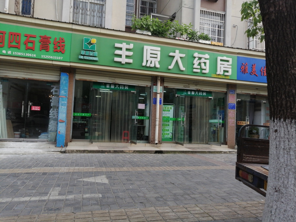 安徽丰原药业有限公司