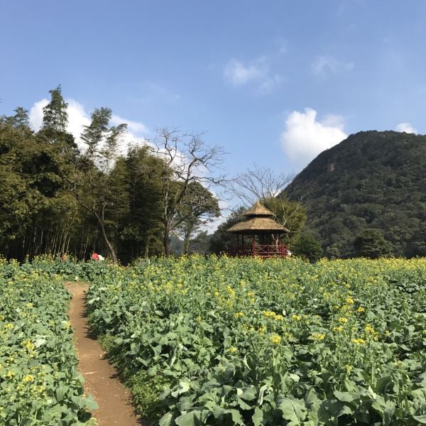 石灶风景区图片