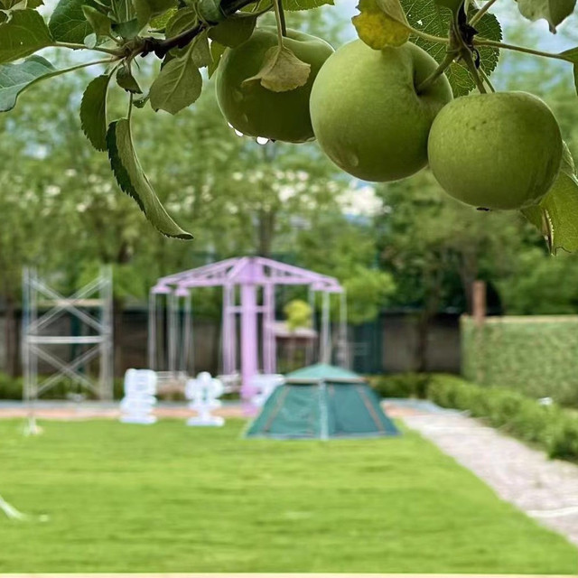 北岸花园篮球馆图片