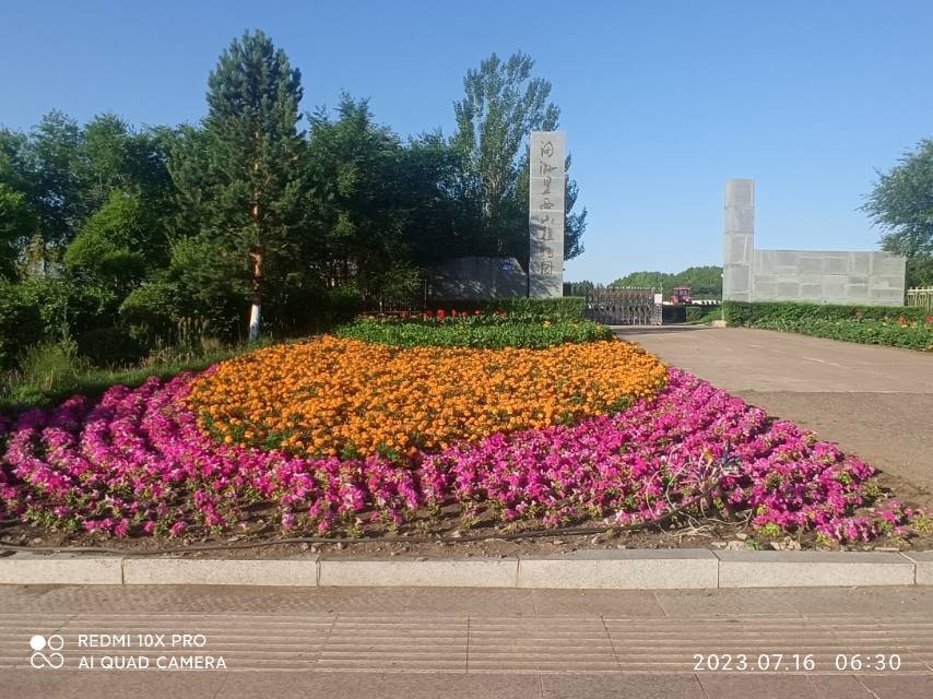 满洲里西山植物园图片