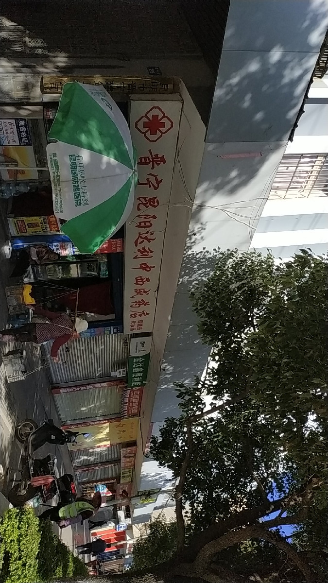 晋宁昆阳达利中西成药店图片