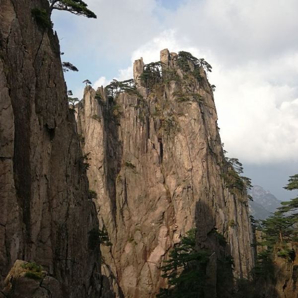 【探海松】探海松门票,探海松游玩攻略_360地图