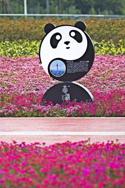 北湖公园图片