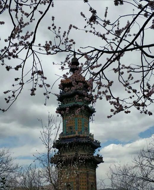怎么走,在哪,在哪里,在哪儿):北京市海淀区人保博物馆附近电话:万春园