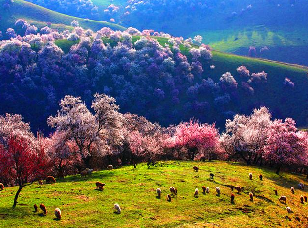 地址(在哪里):杏花沟位于张家口市万全区高庙堡乡介绍:标签:地名地址
