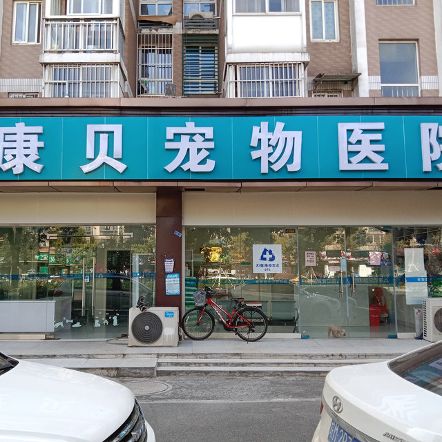 康贝宠物诊所(柳洲东路)图片