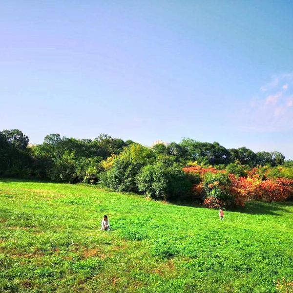 雁鳴湖休閒公園