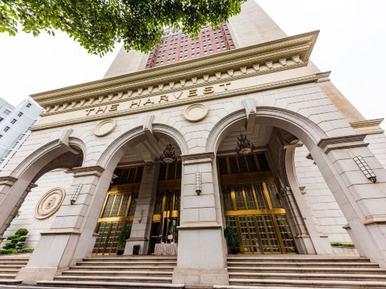 金谷国际酒店图片