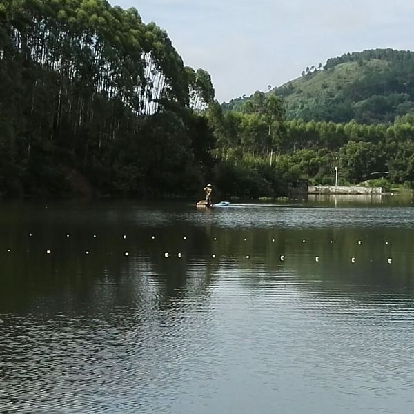 电话:推荐菜:介绍:地址(在哪里):月岛湖度假区位于柳州市鹿寨县寨沙镇